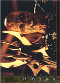#57 "See You In Hell, Jason" (Front)
