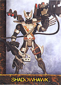 #30 Shadowhawk (Front)